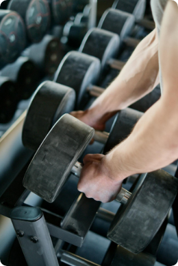 Musculation